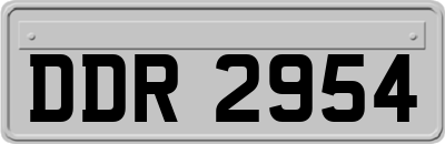 DDR2954