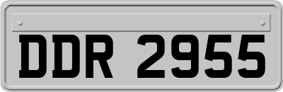 DDR2955