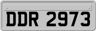 DDR2973