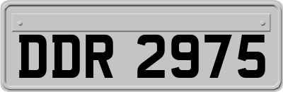 DDR2975