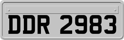 DDR2983