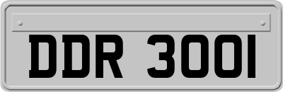 DDR3001
