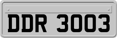 DDR3003