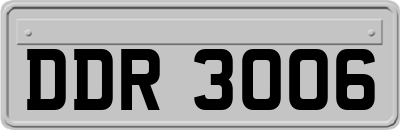 DDR3006