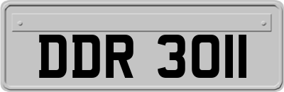 DDR3011