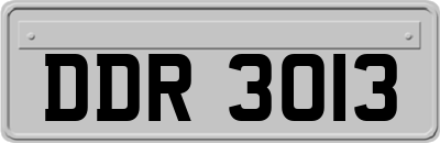 DDR3013