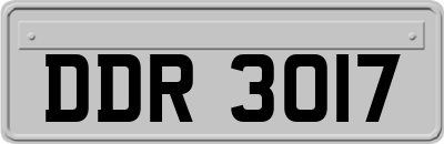 DDR3017