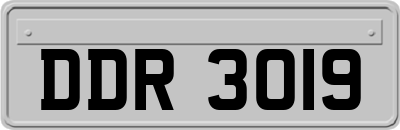 DDR3019