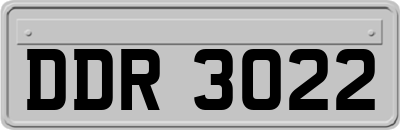 DDR3022
