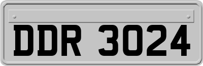 DDR3024