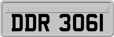 DDR3061