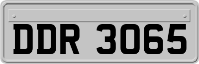 DDR3065