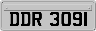 DDR3091
