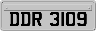 DDR3109