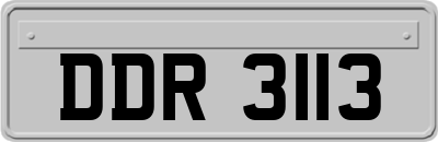 DDR3113