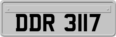 DDR3117