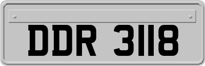 DDR3118