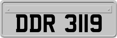 DDR3119