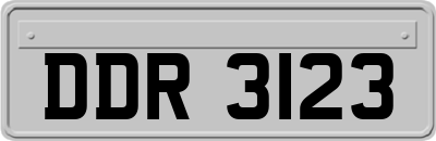 DDR3123