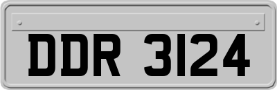 DDR3124