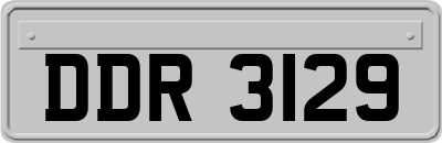 DDR3129