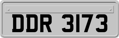 DDR3173