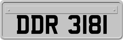 DDR3181