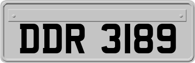 DDR3189