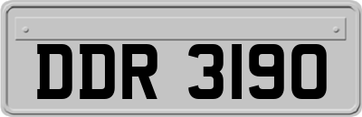 DDR3190