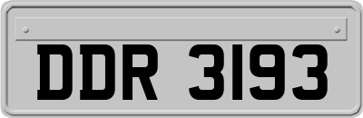 DDR3193