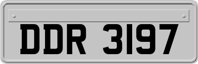 DDR3197
