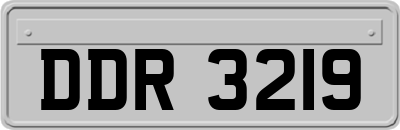 DDR3219