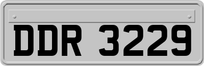 DDR3229