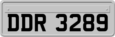 DDR3289