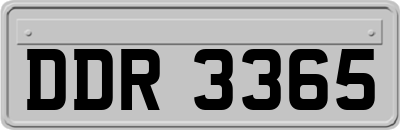 DDR3365