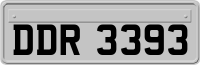 DDR3393