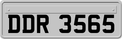 DDR3565