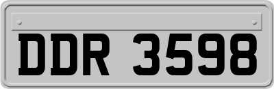DDR3598