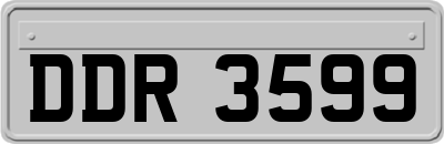 DDR3599
