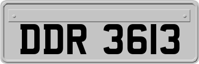 DDR3613