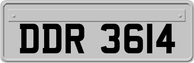 DDR3614