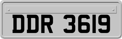DDR3619
