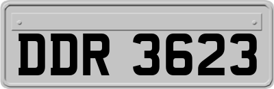 DDR3623