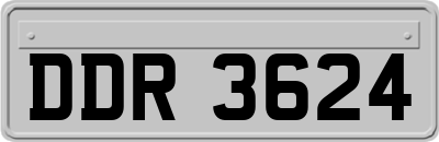 DDR3624