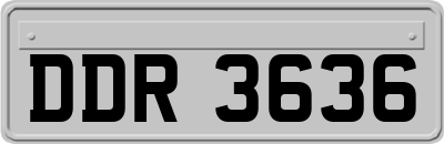 DDR3636