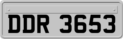 DDR3653