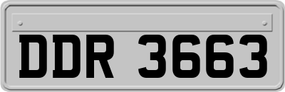 DDR3663