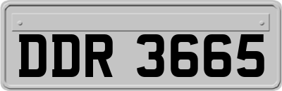 DDR3665