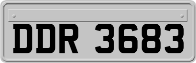 DDR3683