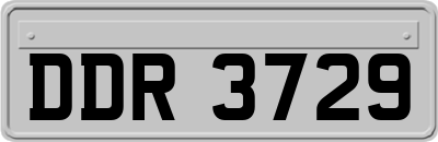 DDR3729